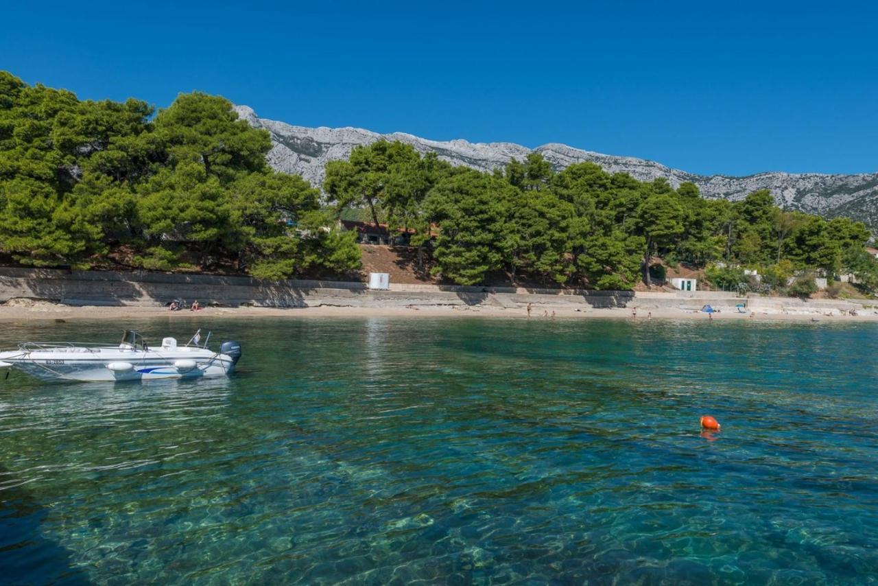 Luxury Beachfront Villa Gracia Grande With Private Pool At The Beach In Orebic - Peljesac Exterior foto